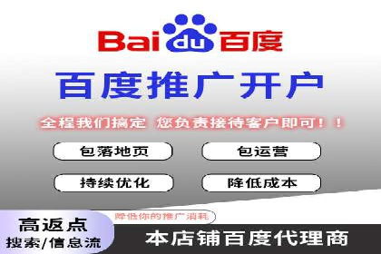 Sem优化公司案例：精准广告投放策略解析